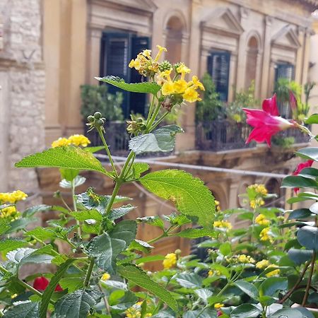 Casa Coccinella Bed and Breakfast Καλτανισέττα Εξωτερικό φωτογραφία