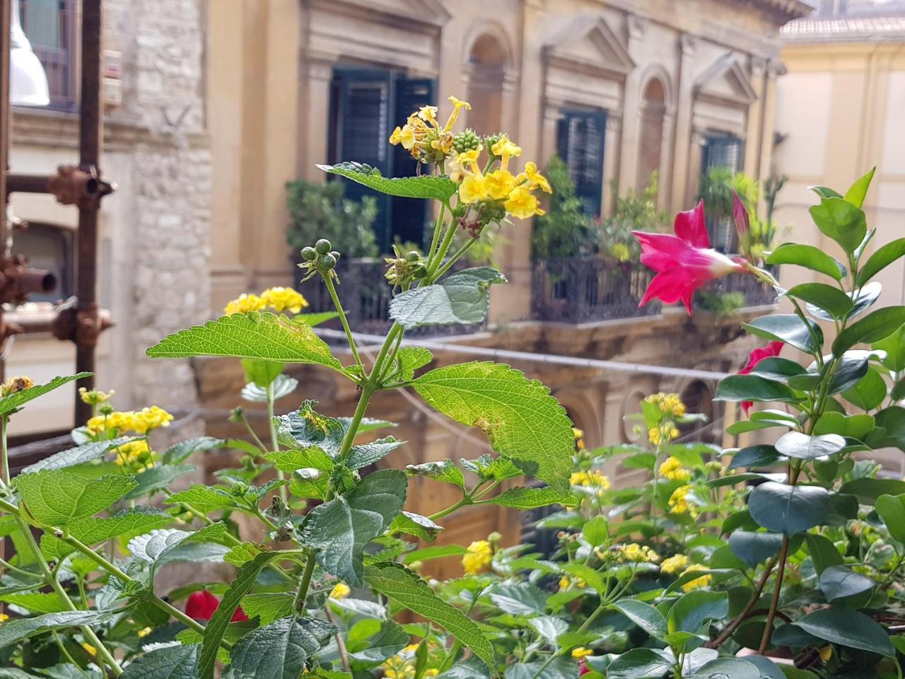 Casa Coccinella Bed and Breakfast Καλτανισέττα Εξωτερικό φωτογραφία